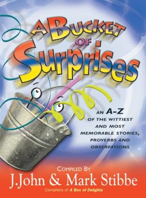 A Bucket Of Surprises PB - J John & Mark Stibbe